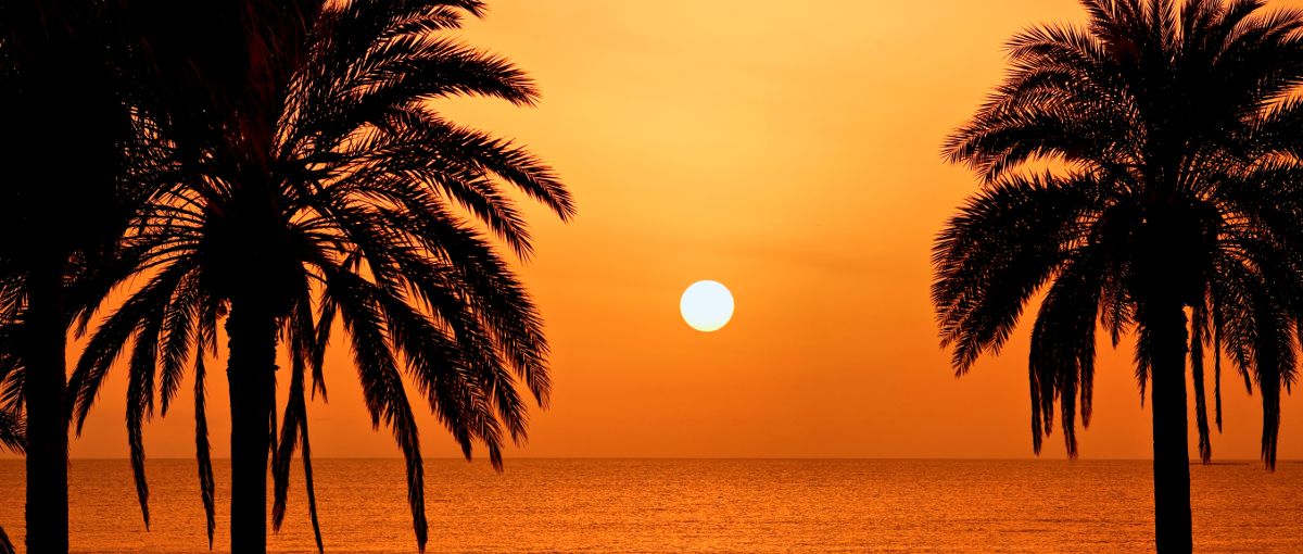 About E&G Solicitors in Spain